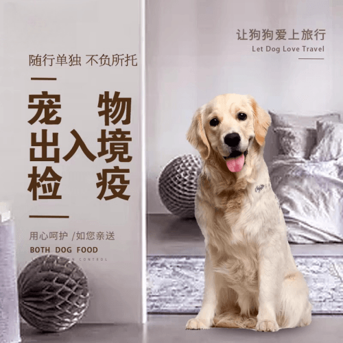 温州市宠物托运到哥伦比亚猫狗宠物入境规定和