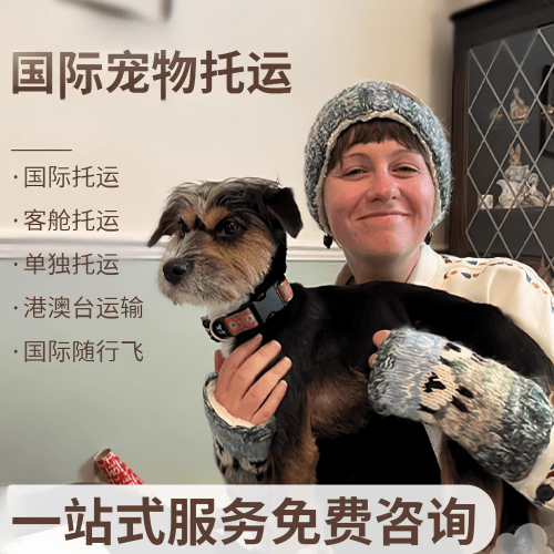 温州市国际宠物托运到阿根廷宠物入境规定和要