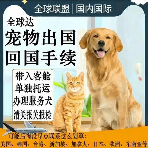 温州市宠物托运到柬埔寨宠物入境规定和要求