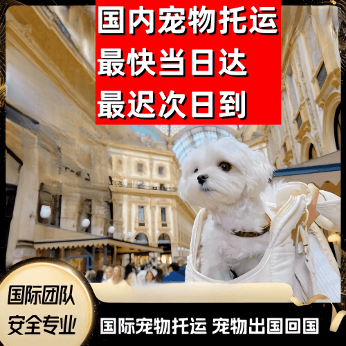 温州市到澳大利亚（澳洲）宠物入境规定和要求
