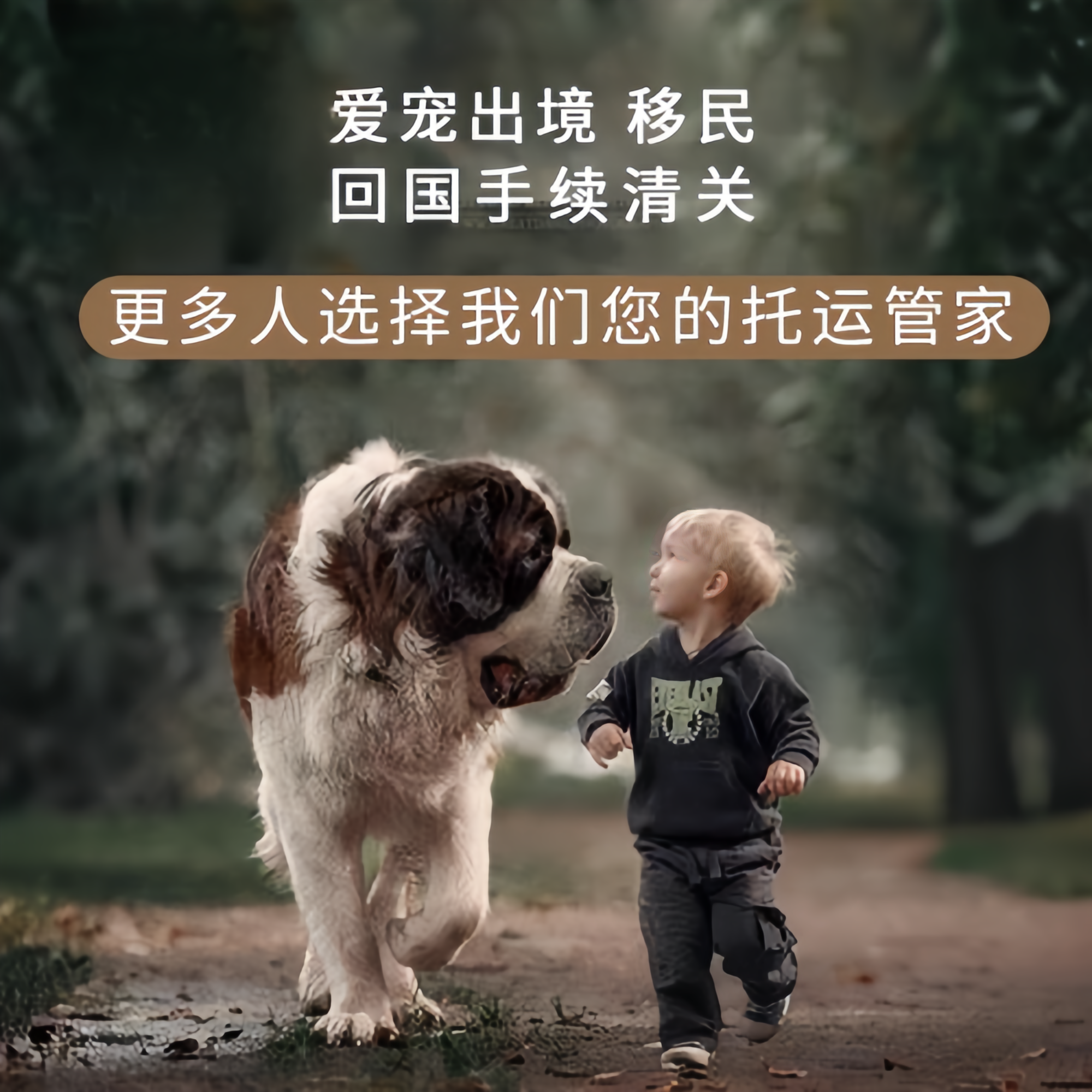 满财温州市宠物全球达宠物托运在遵守入境目的地政策的条件